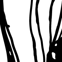 Artwork by Montse Noguera